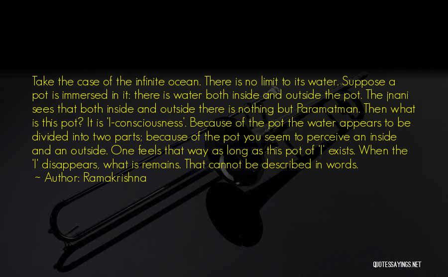 There Is No Limit Quotes By Ramakrishna