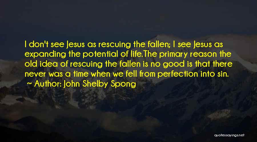 There Is No Perfection Quotes By John Shelby Spong