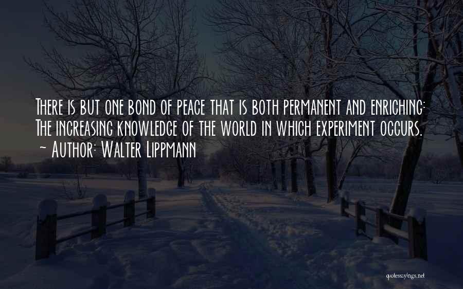 There Is No Permanent In This World Quotes By Walter Lippmann