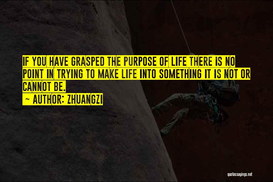 There Is No Point In Trying Quotes By Zhuangzi