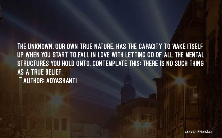 There Is No Such Thing As Love Quotes By Adyashanti