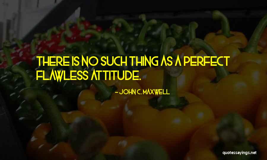 There Is No Such Thing As Perfect Quotes By John C. Maxwell