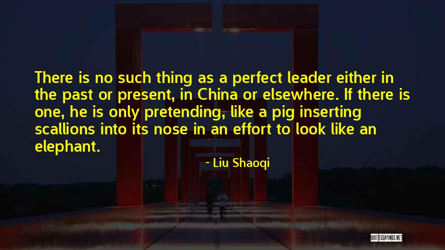There Is No Such Thing As Perfect Quotes By Liu Shaoqi There Is No Such Thing As Perfect Quotes By Liu Shaoqi