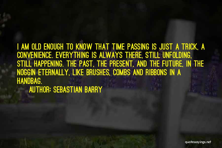There Is No Time Like The Present Quotes By Sebastian Barry