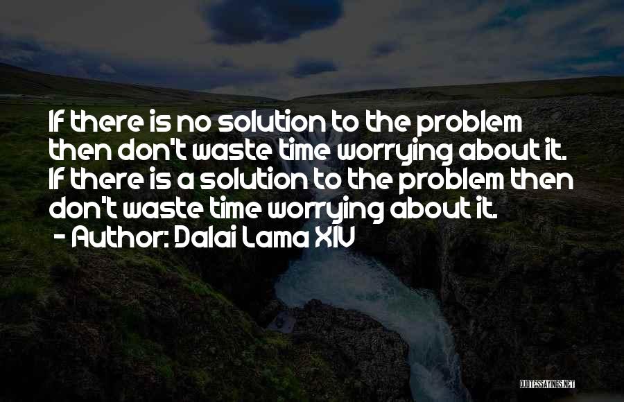 There Is No Time To Waste Quotes By Dalai Lama XIV