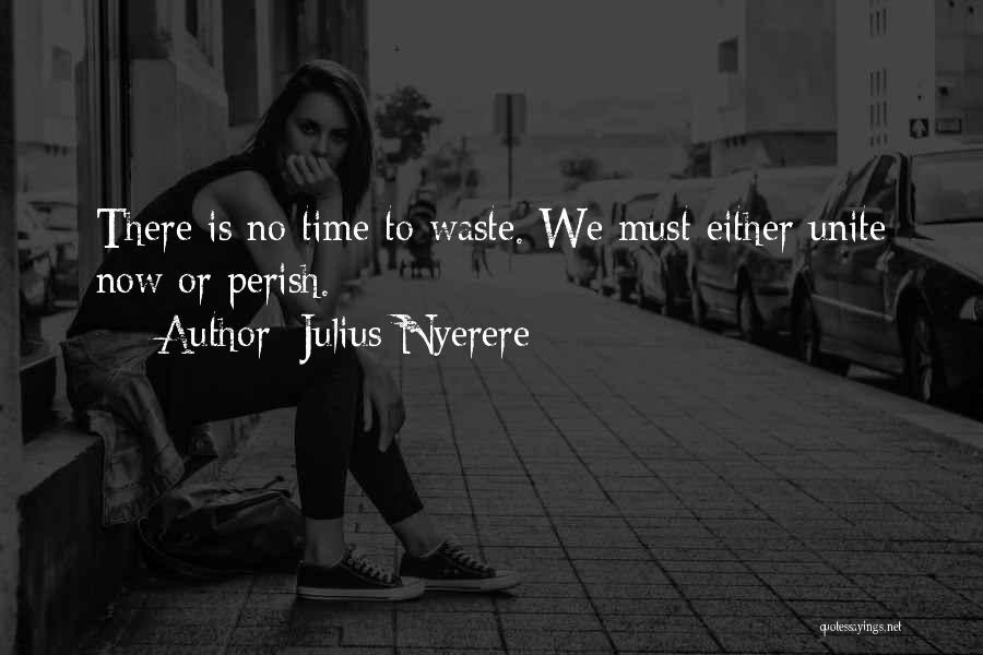 There Is No Time To Waste Quotes By Julius Nyerere