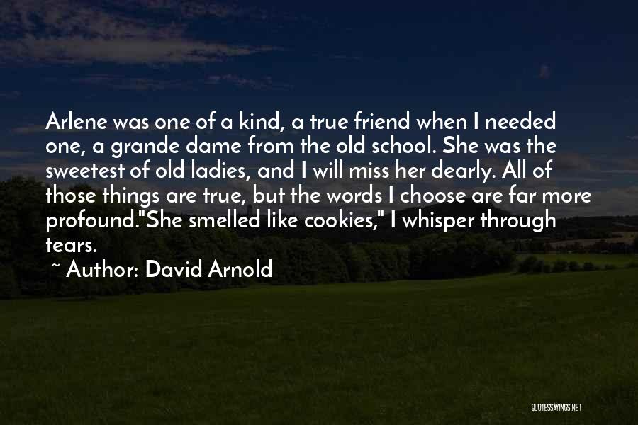 There Is No True Friend Quotes By David Arnold