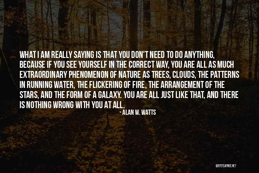 There Is Nothing Wrong With You Quotes By Alan W. Watts There Is Nothing Wrong With You Quotes By Alan W. Watts