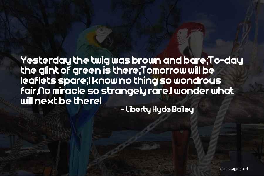There Is Tomorrow Quotes By Liberty Hyde Bailey There Is Tomorrow Quotes By Liberty Hyde Bailey