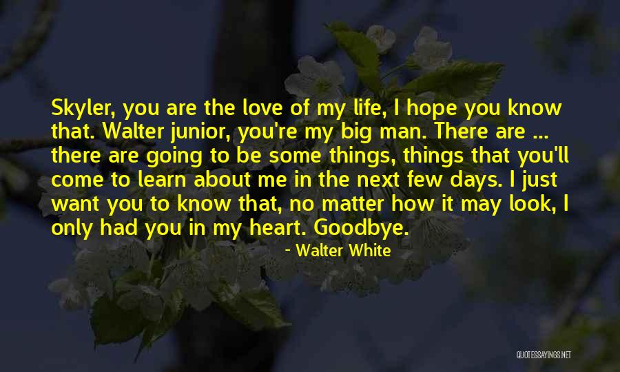 There No Goodbye Quotes By Walter White There No Goodbye Quotes By Walter White