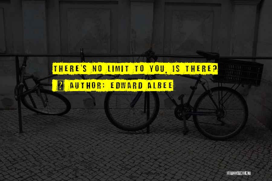 There No Limit Quotes By Edward Albee