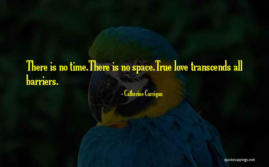 There No True Love Quotes By Catherine Carrigan