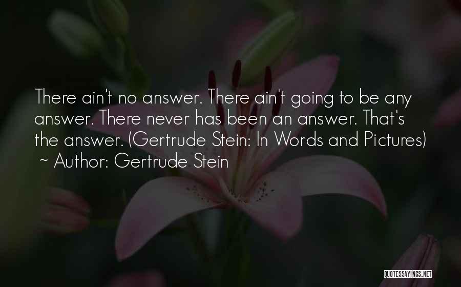 There No Words Quotes By Gertrude Stein