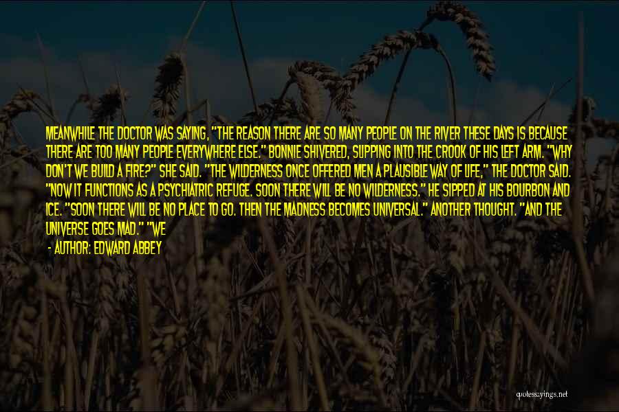 There Will Be Days Quotes By Edward Abbey