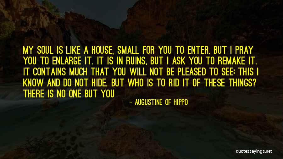 There Will Be No One Like You Quotes By Augustine Of Hippo