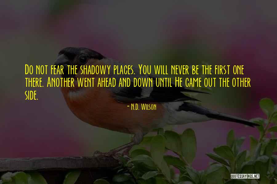 There Will Never Be Another You Quotes By N.D. Wilson There Will Never Be Another You Quotes By N.D. Wilson