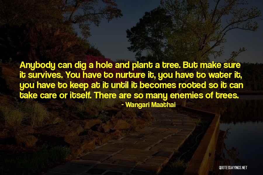 There You Are Quotes By Wangari Maathai