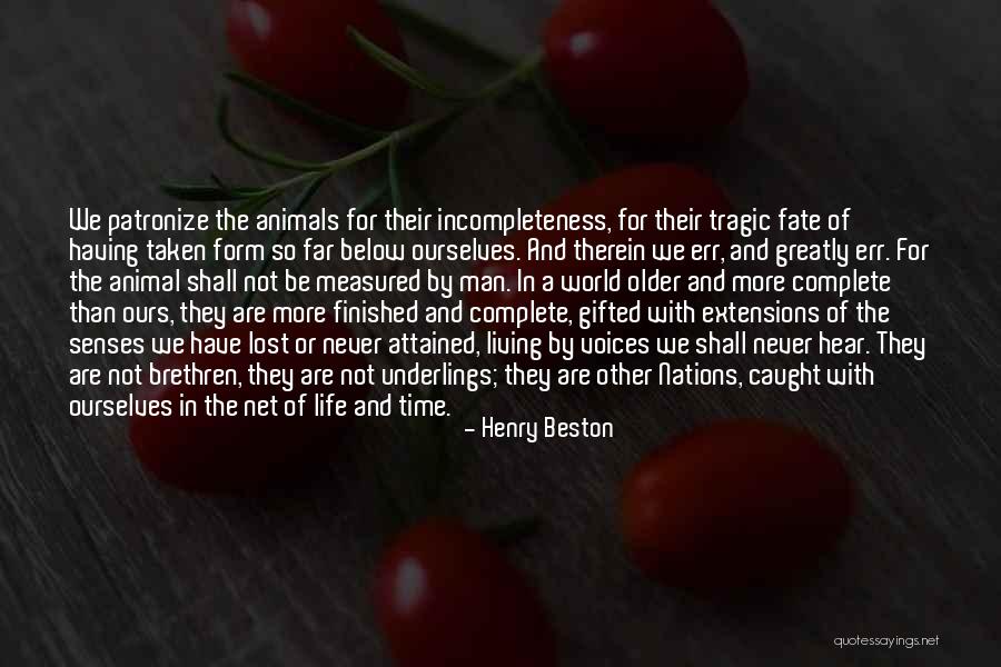 Therein Quotes By Henry Beston Therein Quotes By Henry Beston