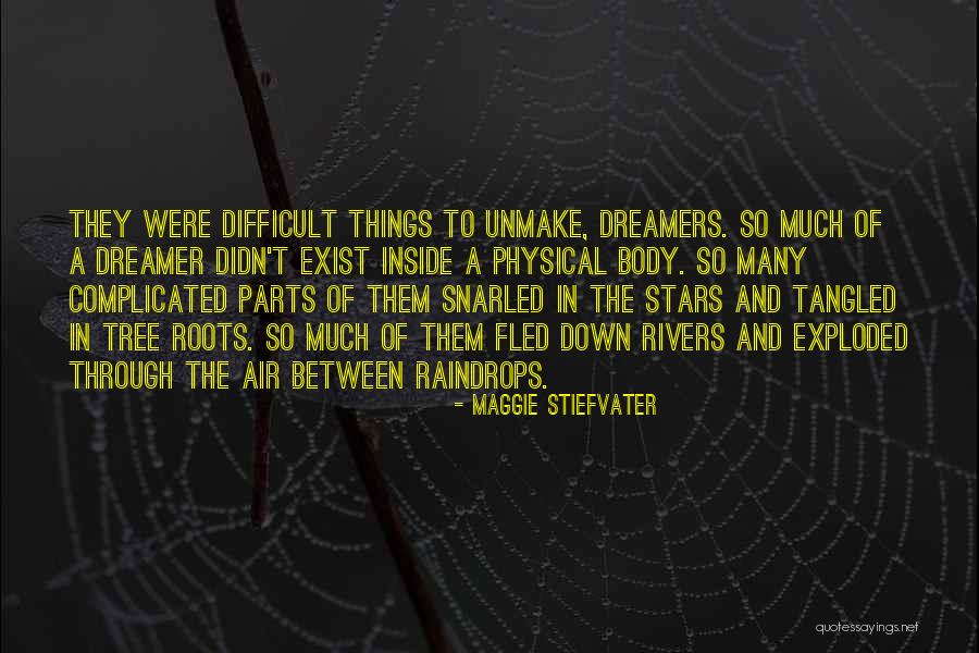 Therent Quotes By Maggie Stiefvater Therent Quotes By Maggie Stiefvater