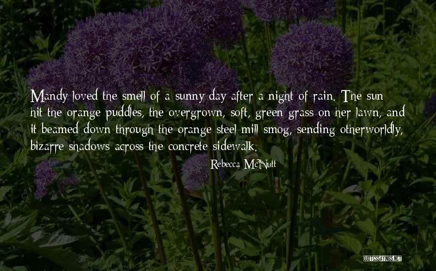 There's A Rainbow After The Rain Quotes By Rebecca McNutt There's A Rainbow After The Rain Quotes By Rebecca McNutt