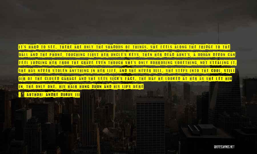 There's A Sadness In Her Eyes Quotes By Andre Dubus III