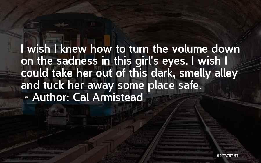 There's A Sadness In Her Eyes Quotes By Cal Armistead