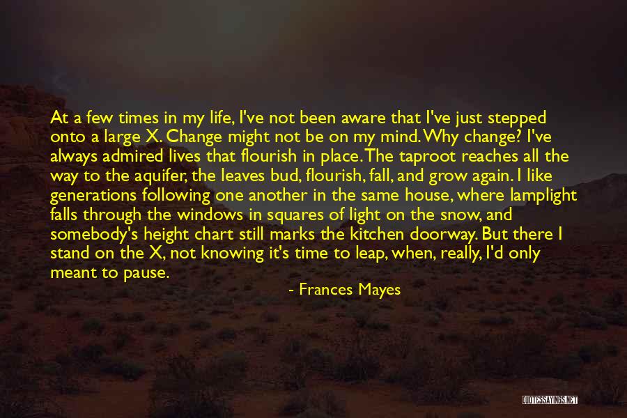 There's Always Light Quotes By Frances Mayes There's Always Light Quotes By Frances Mayes