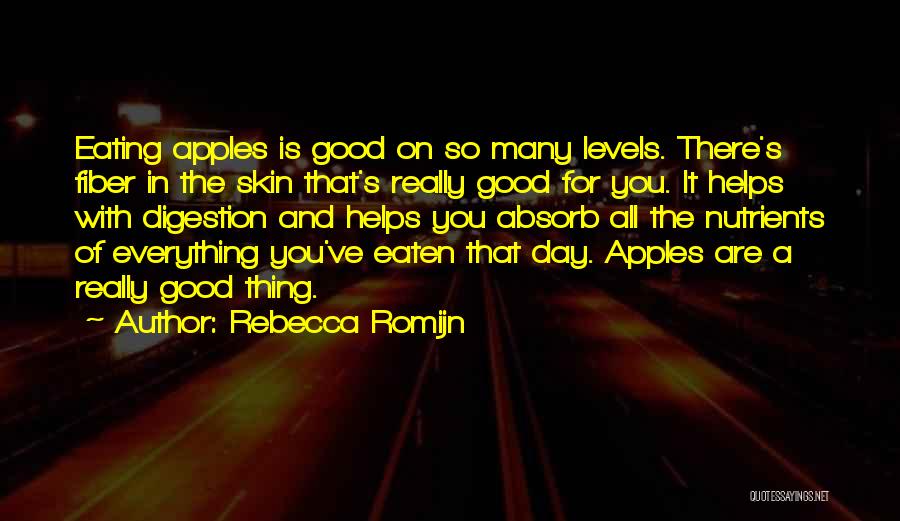 There's Good In Everything Quotes By Rebecca Romijn