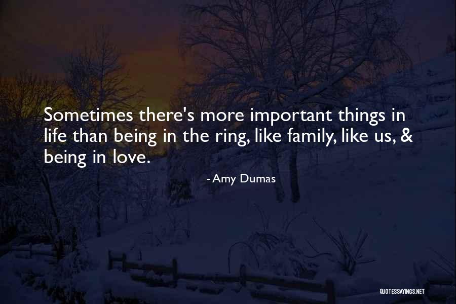 There's More Important Things In Life Quotes By Amy Dumas