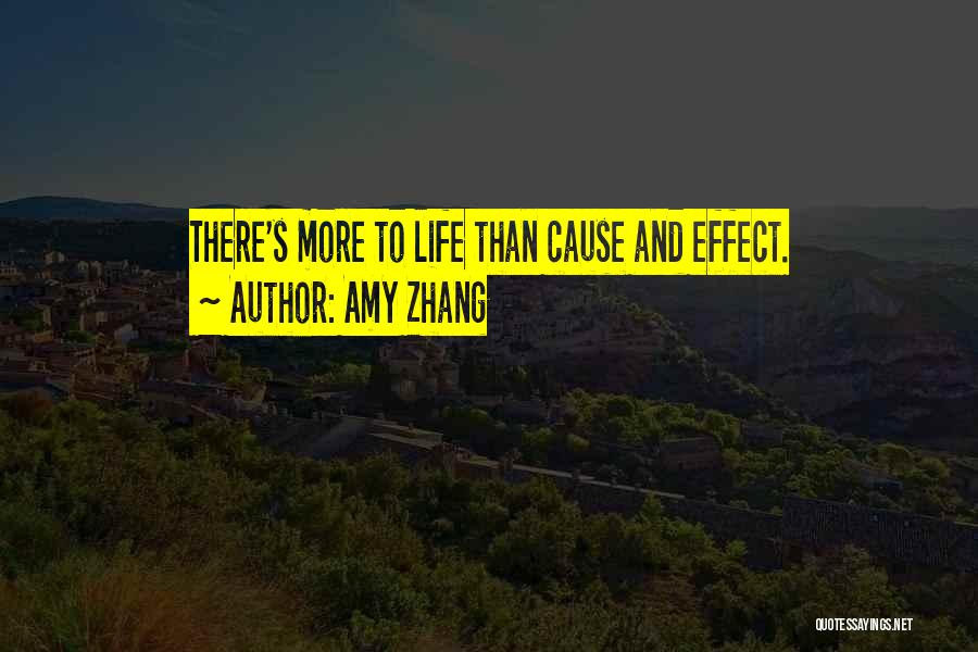 There's More To Life Quotes By Amy Zhang