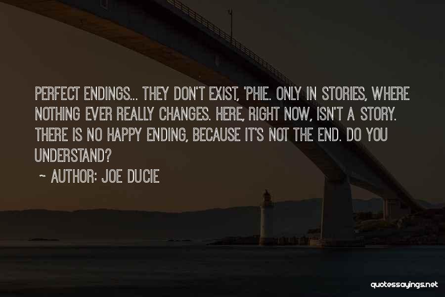 There's No Happy Ending Quotes By Joe Ducie