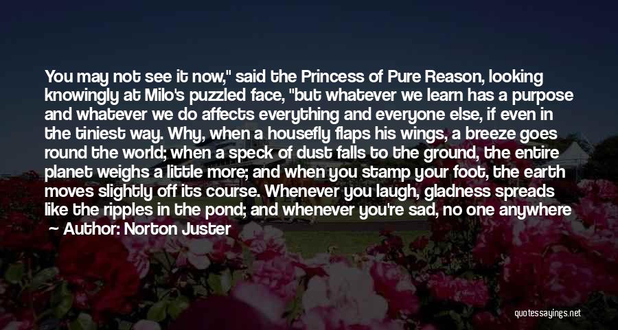 There's No Reason To Be Sad Quotes By Norton Juster