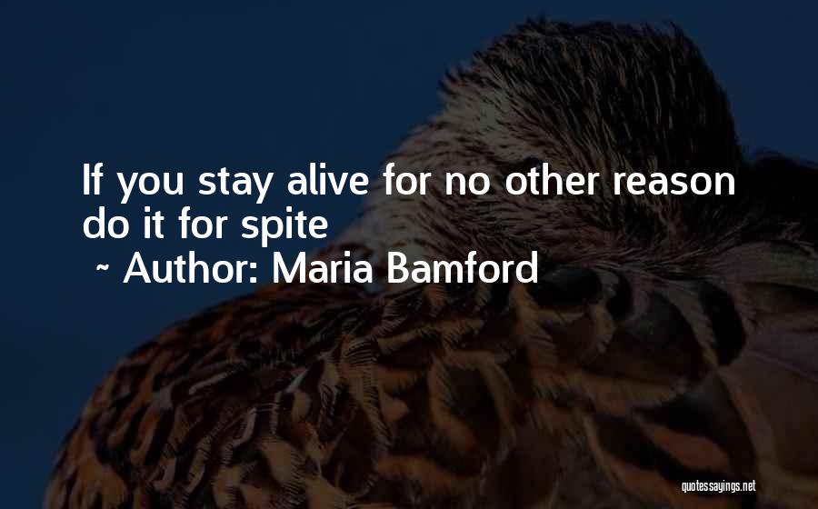 There's No Reason To Stay Quotes By Maria Bamford