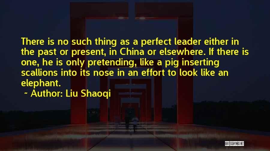 There's No Such Thing As Perfect Quotes By Liu Shaoqi