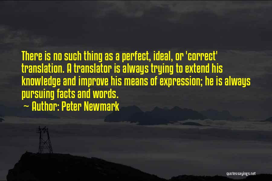There's No Such Thing As Perfect Quotes By Peter Newmark