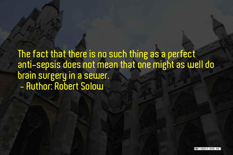 There's No Such Thing As Perfect Quotes By Robert Solow