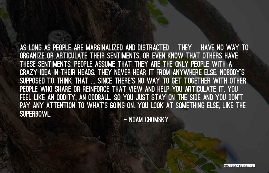 There's Nobody Else Like You Quotes By Noam Chomsky