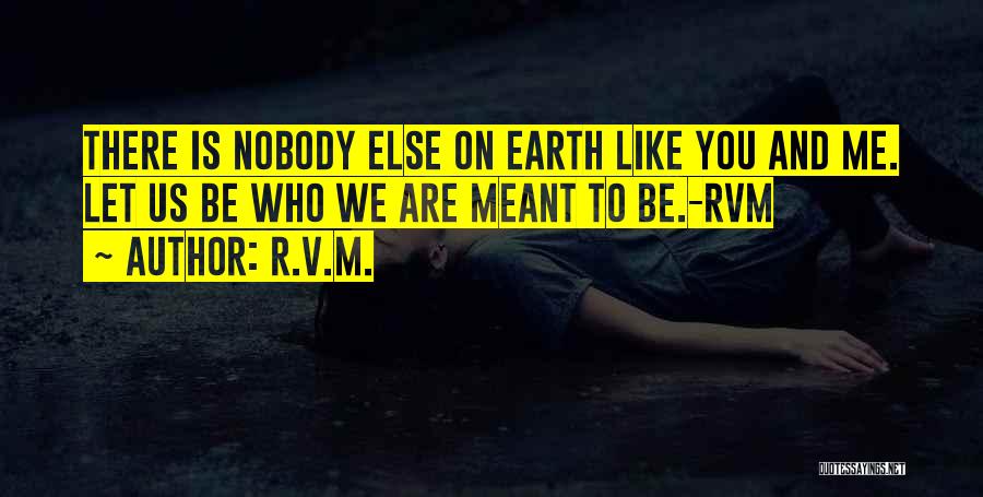 There's Nobody Else Like You Quotes By R.v.m.