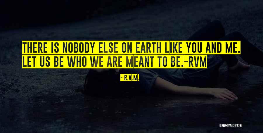 There's Nobody Else Like You Quotes By R.v.m.