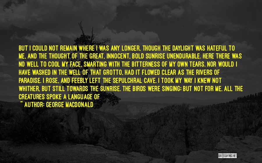 There's Nothing Left For Me Here Quotes By George MacDonald