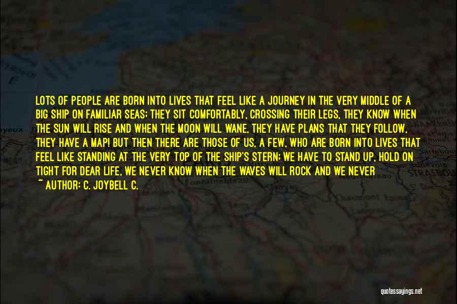 There's Nothing Like Us Quotes By C. JoyBell C.