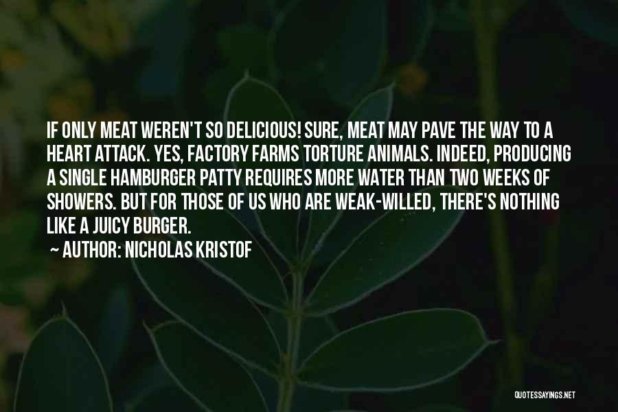 There's Nothing Like Us Quotes By Nicholas Kristof