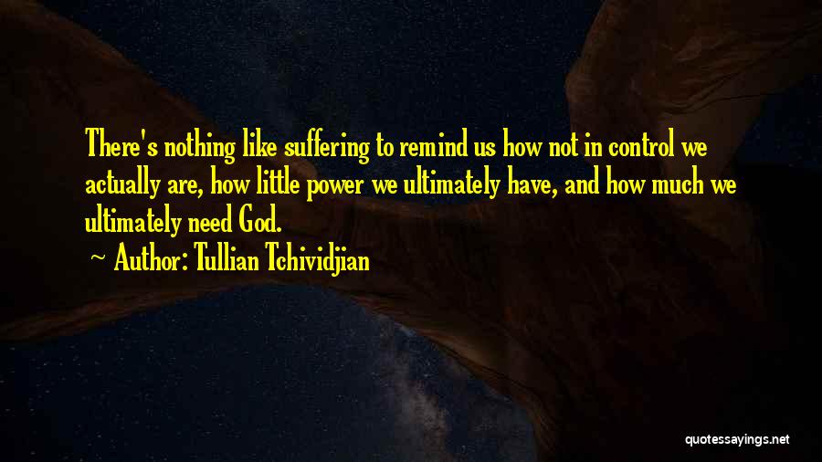 There's Nothing Like Us Quotes By Tullian Tchividjian