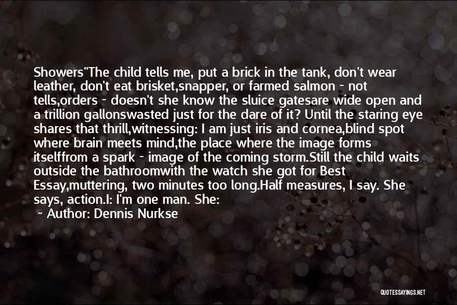 There's So Much More Than Meets The Eye Quotes By Dennis Nurkse