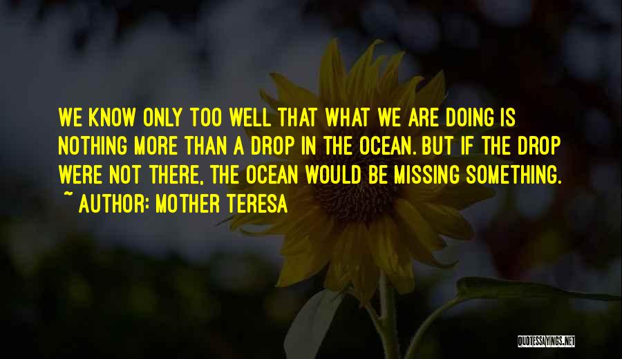 There's Something Missing Quotes By Mother Teresa