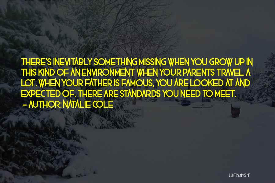 There's Something Missing Quotes By Natalie Cole