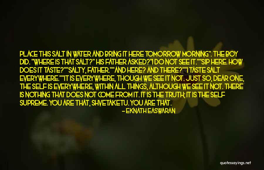 There's This One Boy Quotes By Eknath Easwaran There's This One Boy Quotes By Eknath Easwaran
