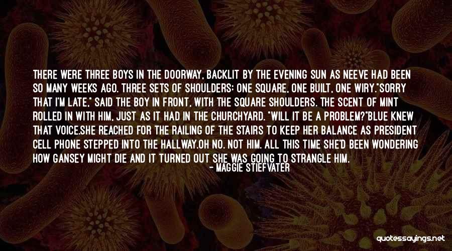 There's This One Boy Quotes By Maggie Stiefvater There's This One Boy Quotes By Maggie Stiefvater