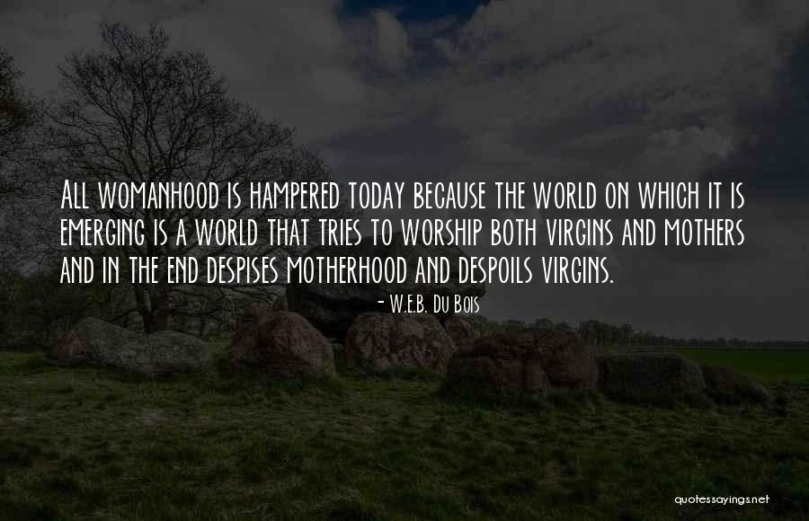 Thereza Hermanny Quotes By W.E.B. Du Bois Thereza Hermanny Quotes By W.E.B. Du Bois