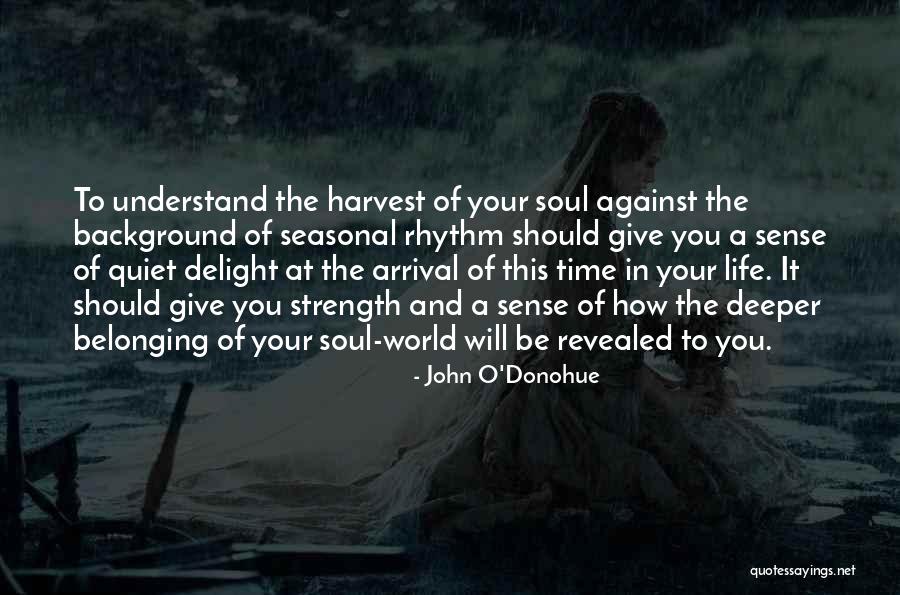 Thereza Imanishi Kari Quotes By John O'Donohue Thereza Imanishi Kari Quotes By John O'Donohue